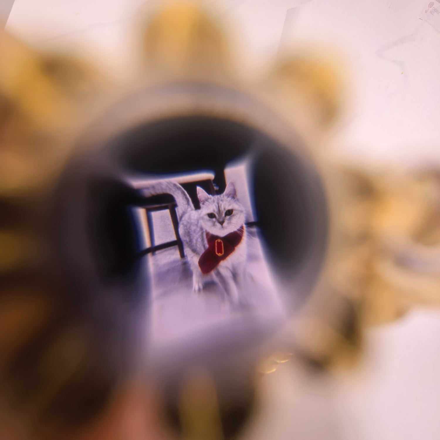 Crystal pendant projection effect — pet photo displayed inside Aurmory memory projection bracelet
