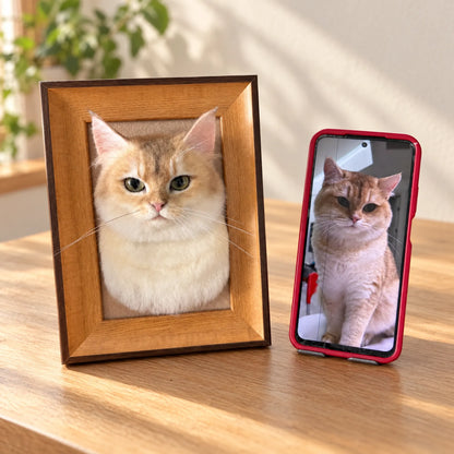 Custom framed needle-felted orange cat portrait