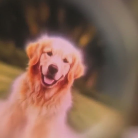 Hidden pet photo projection shown through moonstone bracelet charm