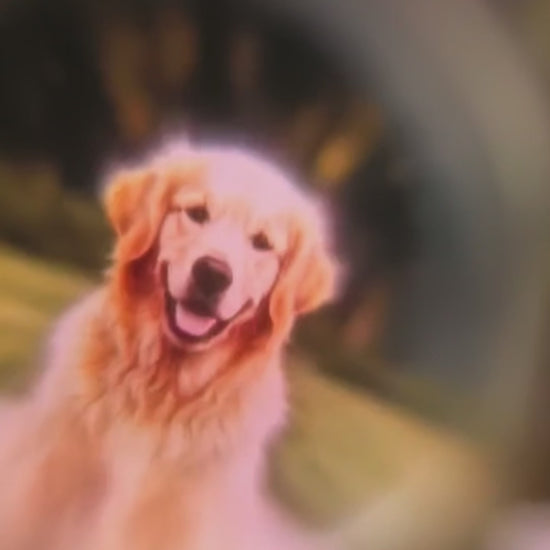 Personalized pet memorial gift with hidden photo projection